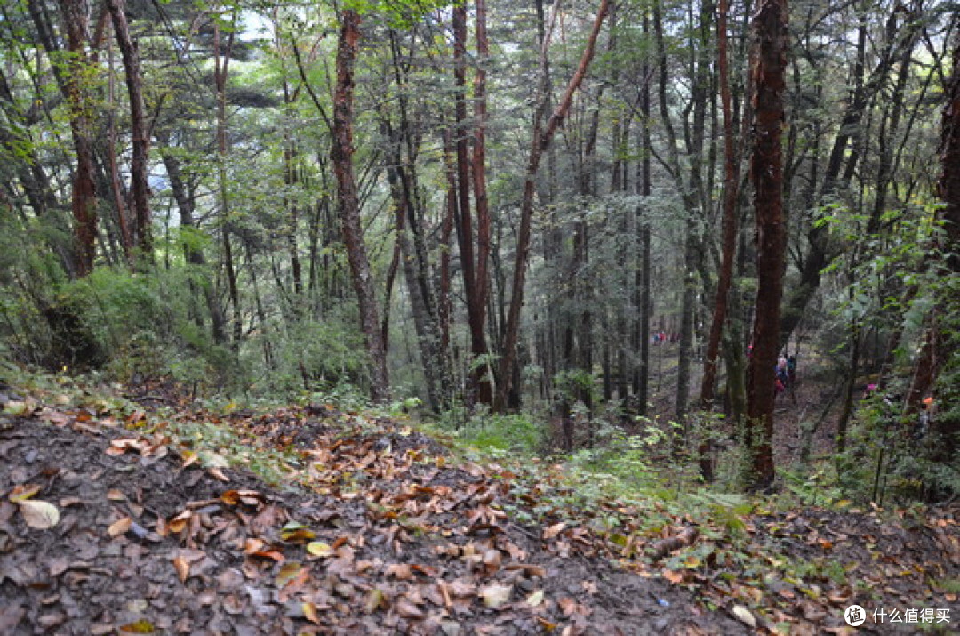 雨崩,痛并快乐着的旅程