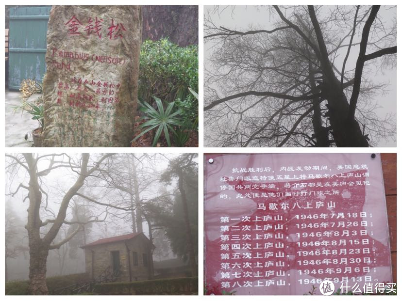 雾凇、三宝树、美庐、庐山博物馆