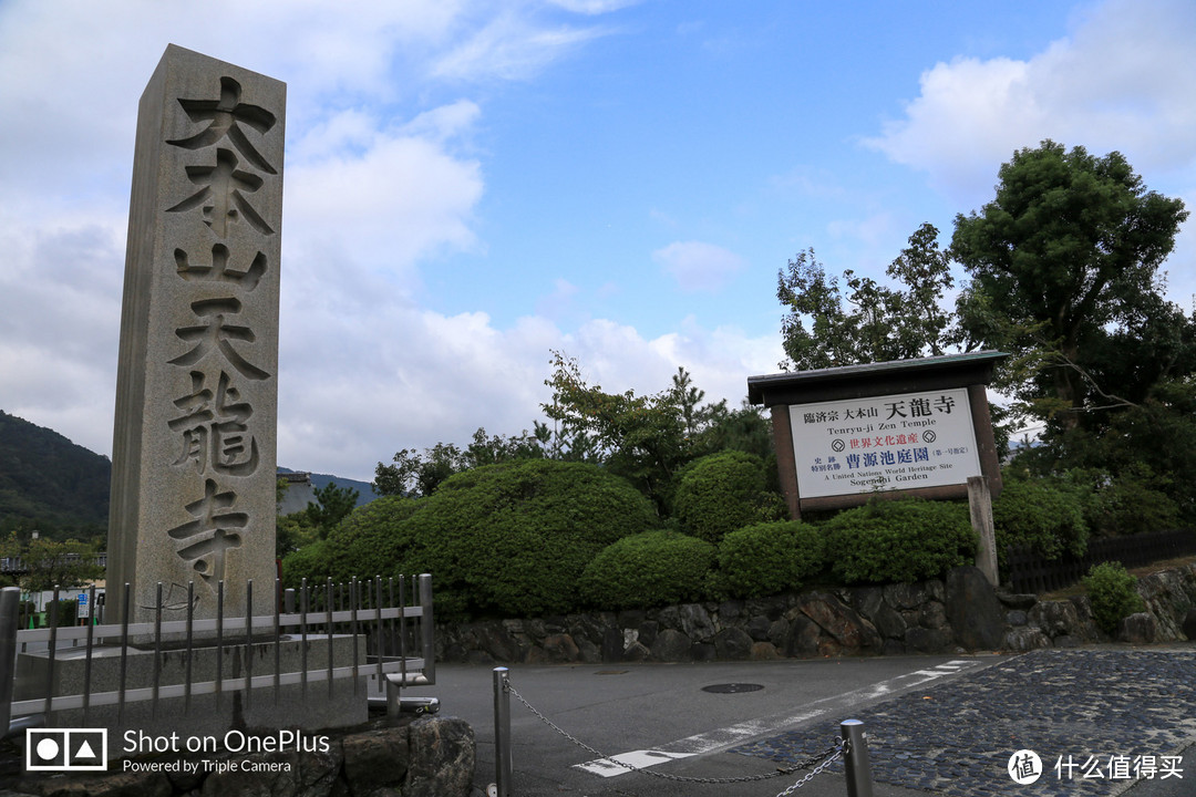 京都市内补全 岚山竹林探秘