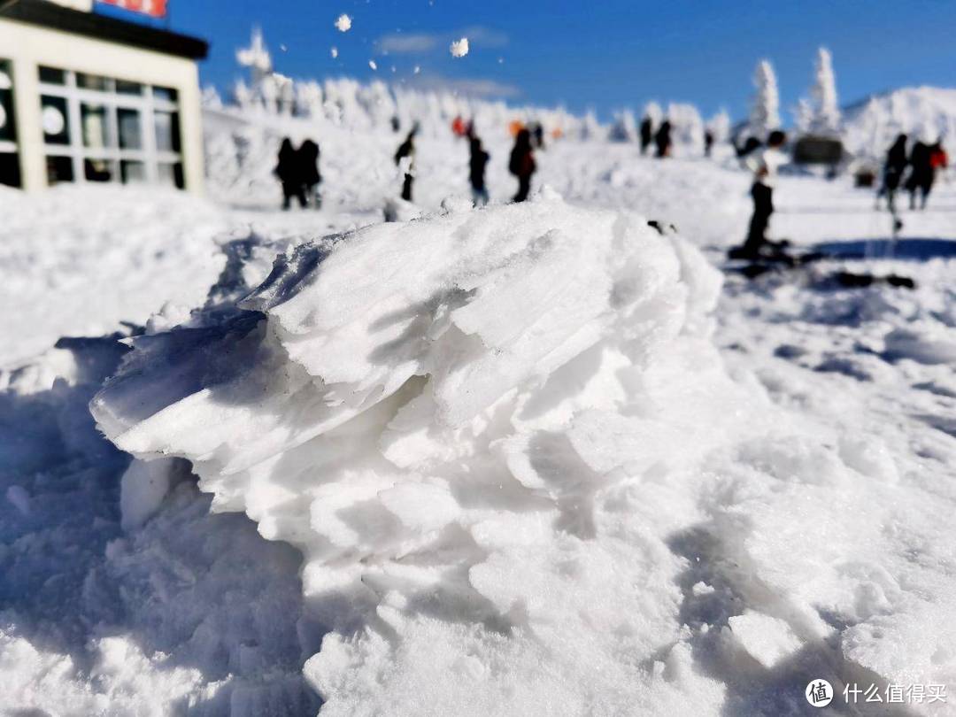 看看日本怎么租车自驾+青森+北海道+雪地陷车