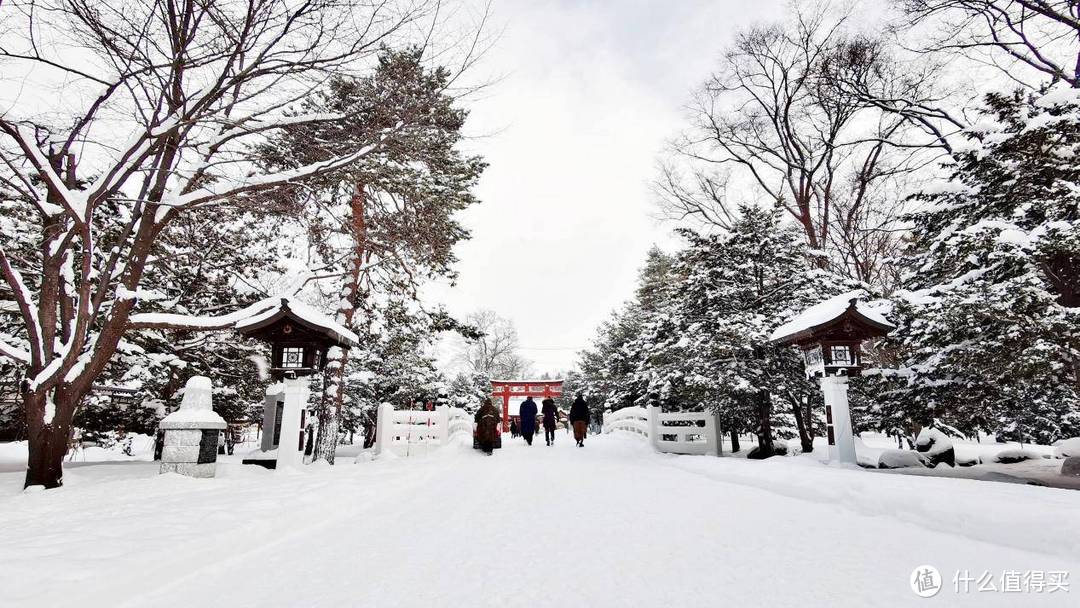 看看日本怎么租车自驾+青森+北海道+雪地陷车