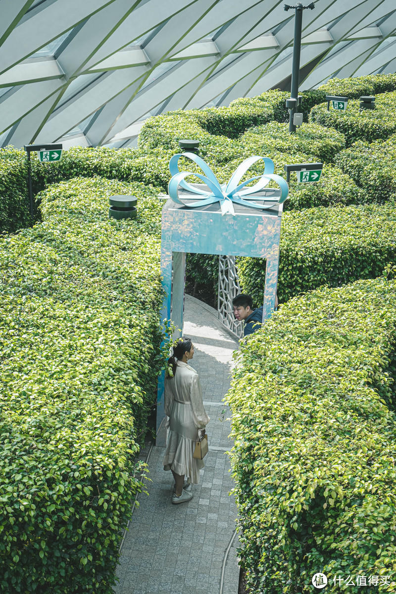 一人一猫蜜月旅行，牵手走过半海半城新加坡巴厘岛之旅