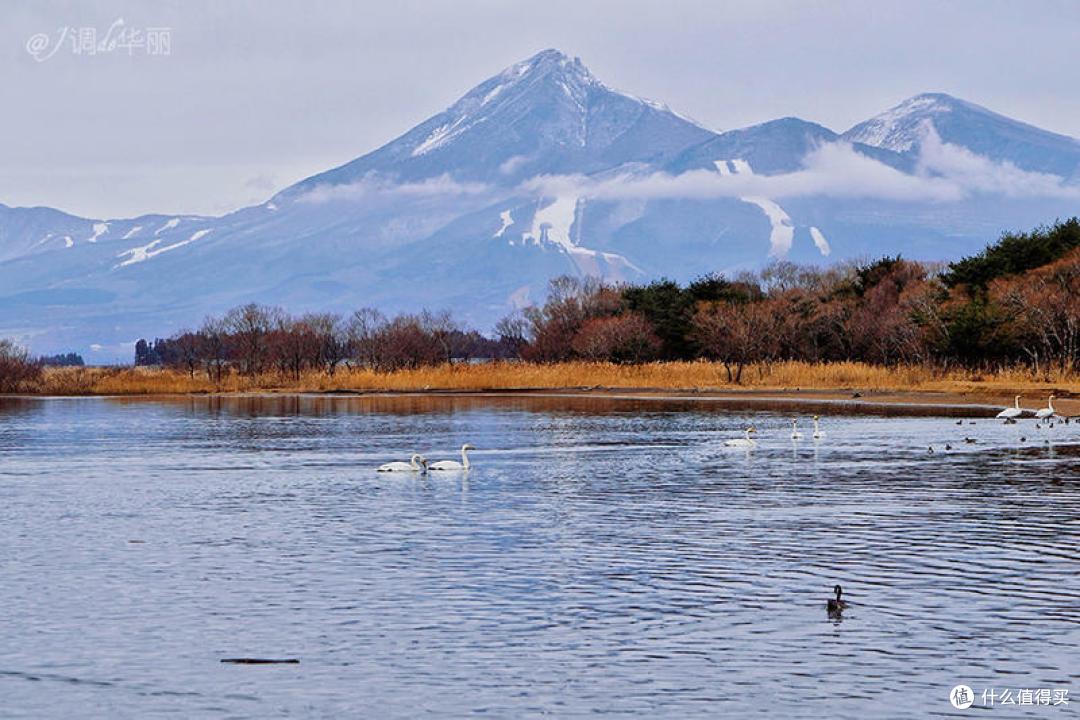 【日本】日本首都圈一日游最全攻略,东京周边N种玩法任你挑!