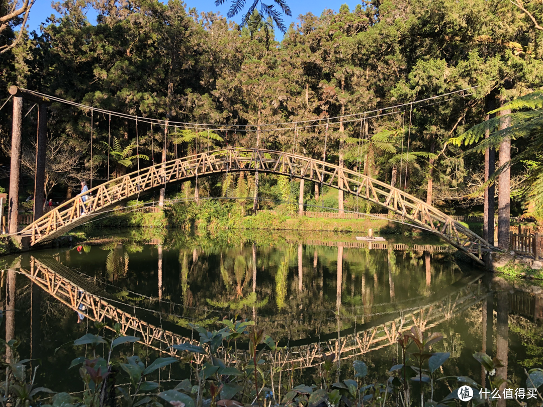 台湾旅游攻略day2：基隆野柳地质公园、南投溪头自然教育园区