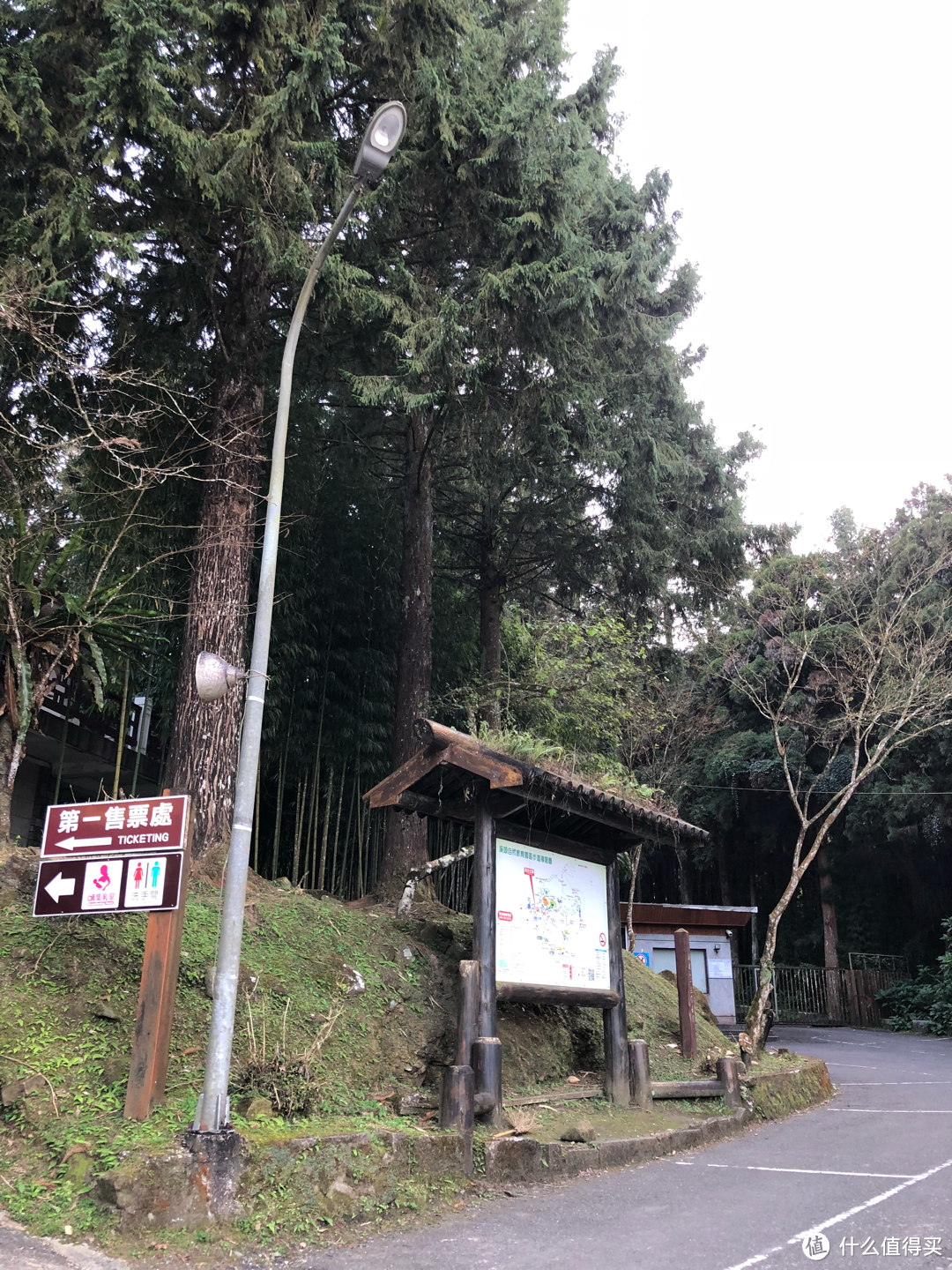 台湾旅游攻略day2：基隆野柳地质公园、南投溪头自然教育园区