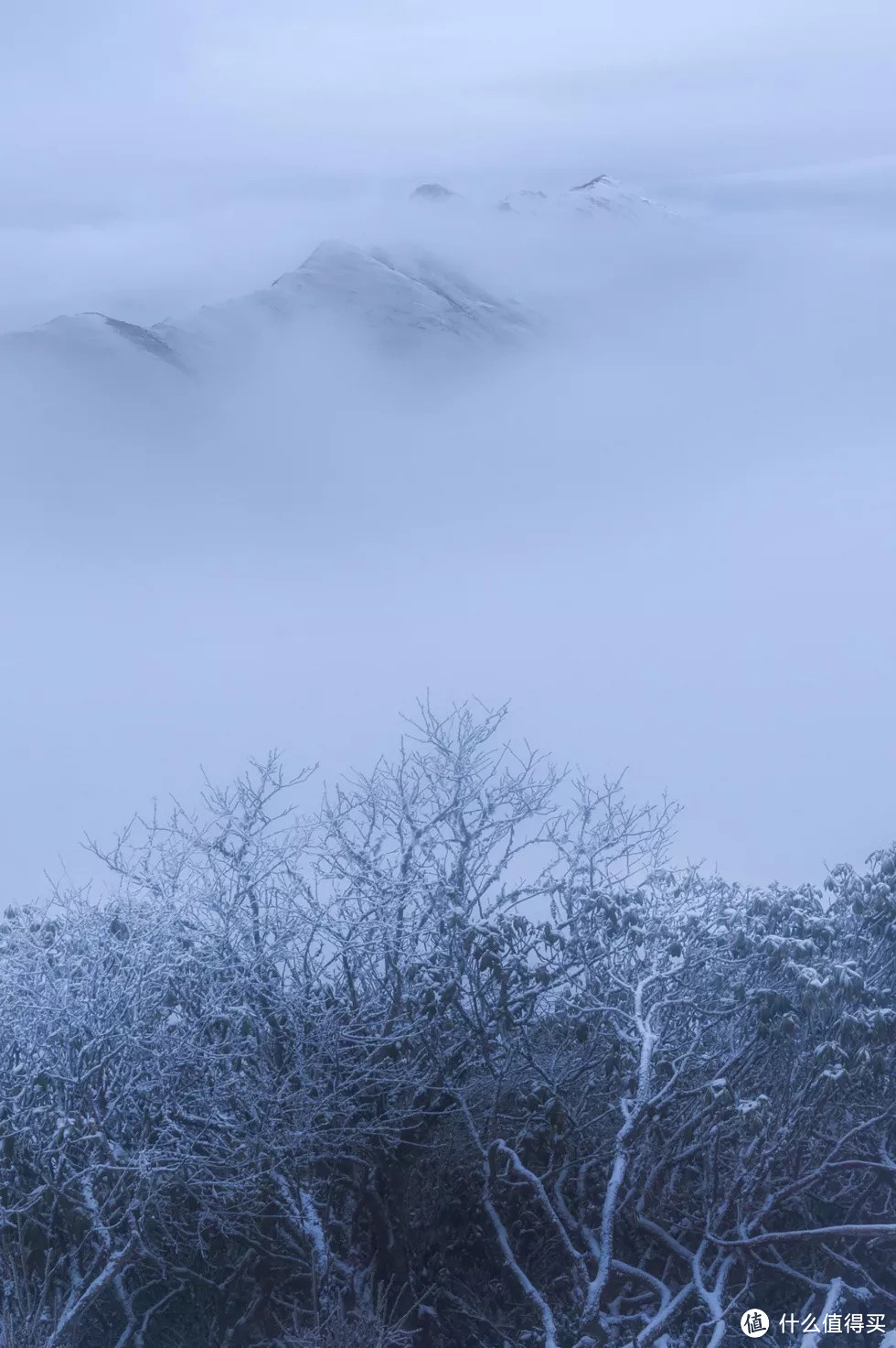  关于贡嘎雪山转山那些地，这里来聊聊 