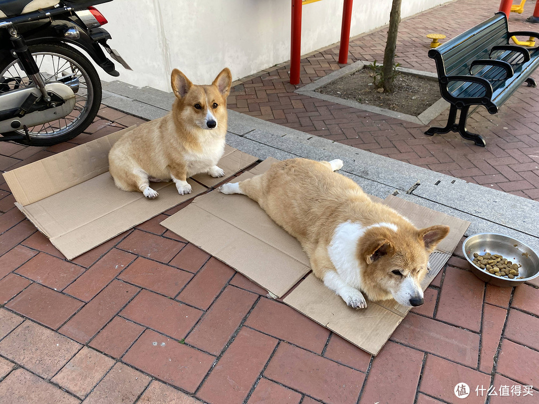 逛吃澳门的地道街边美食