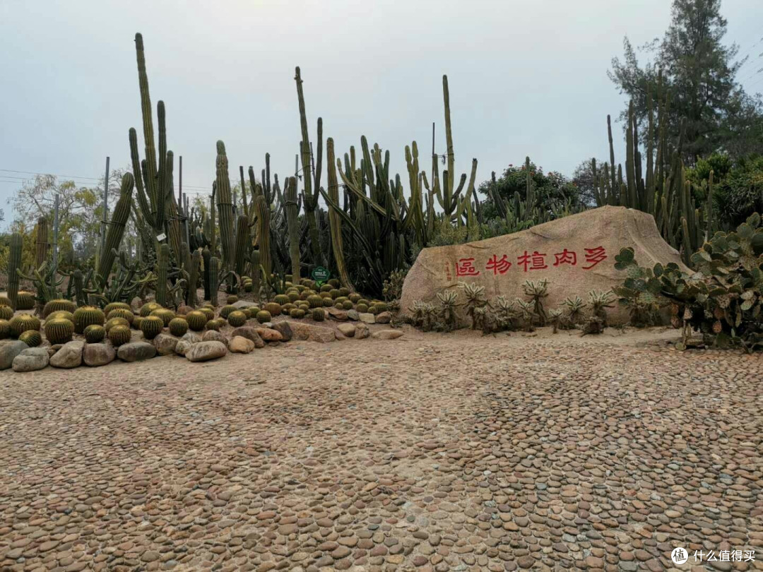 满满的回忆:厦门四日游