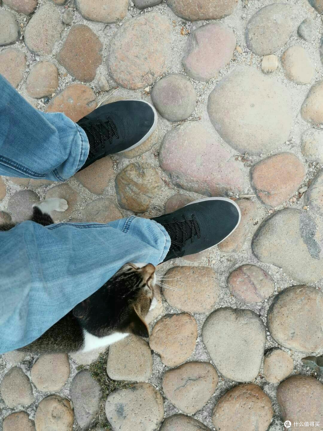 满满的回忆:厦门四日游