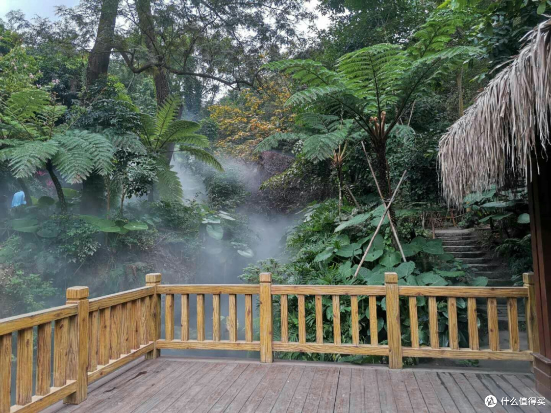 满满的回忆:厦门四日游