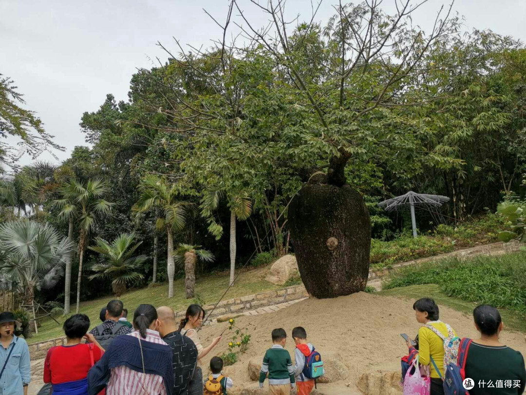 满满的回忆:厦门四日游