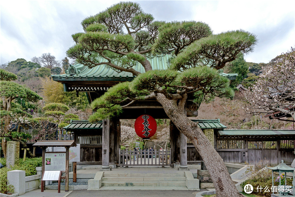 原路折回然后右拐到长谷寺，长谷寺主供奉观音，有1300多年历史了。