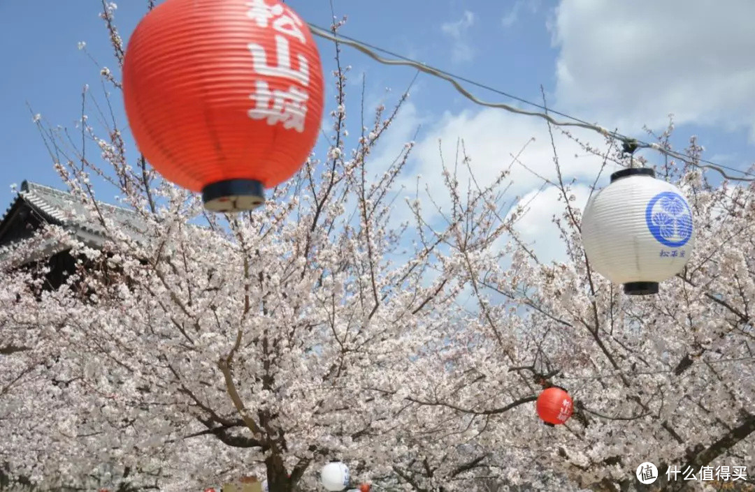 短假期去哪里好，3天就可以玩转的日本小众城市考虑一下吗？