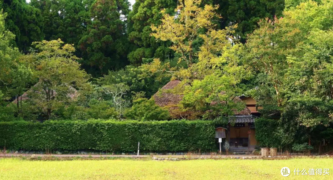 短假期去哪里好，3天就可以玩转的日本小众城市考虑一下吗？