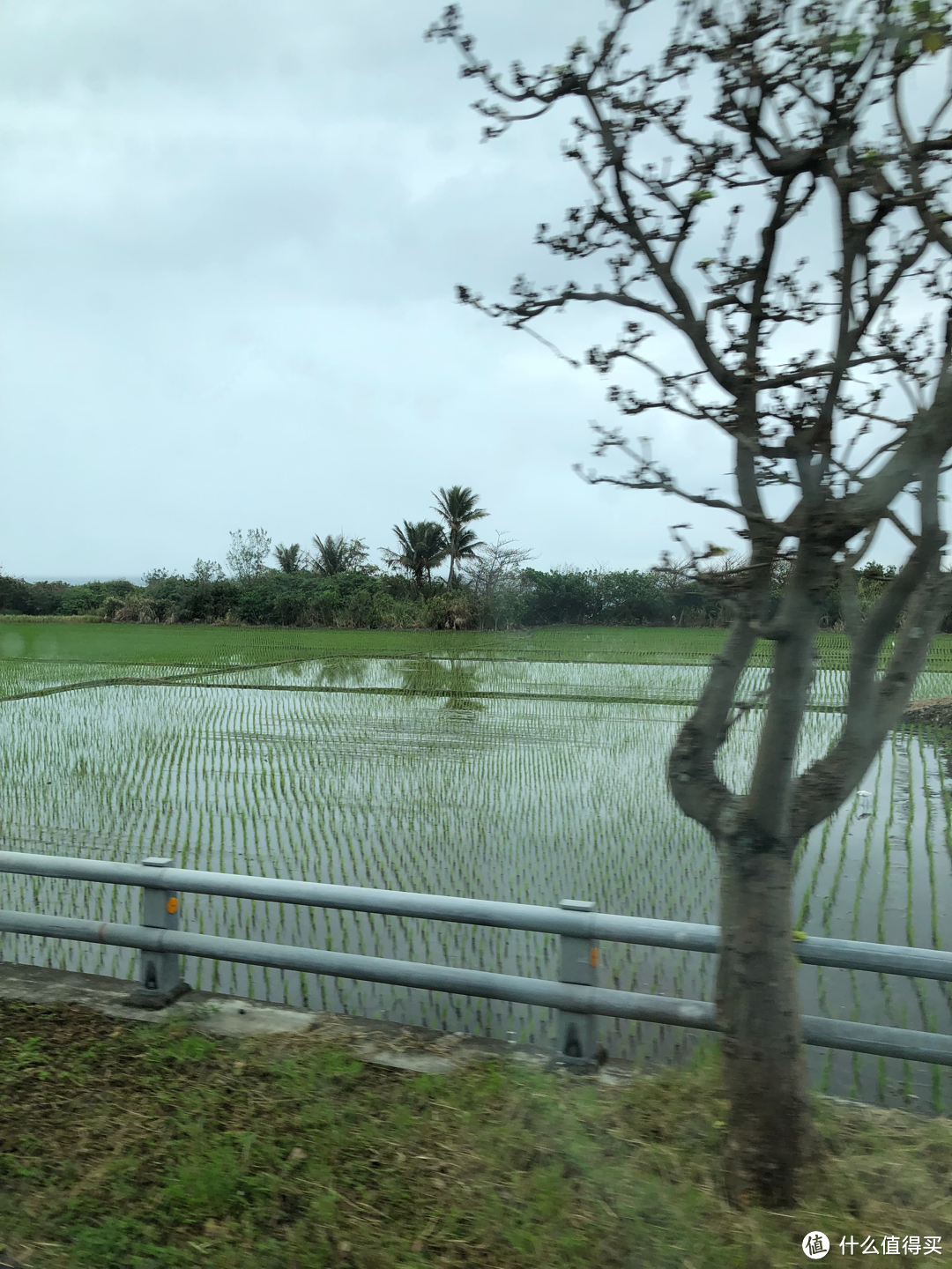 台湾旅行攻略day5:太平洋、北回归线、台湾十景之清水断崖