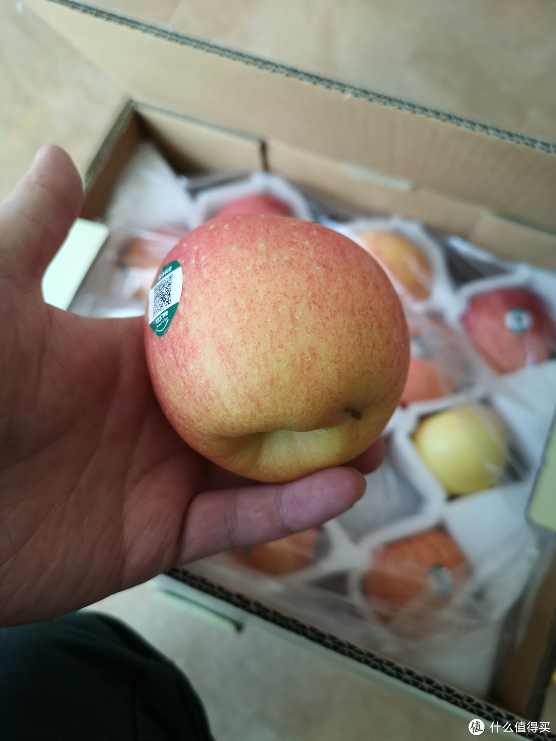 买了十几箱苹果，这个长假，懒猫带你选好苹果!