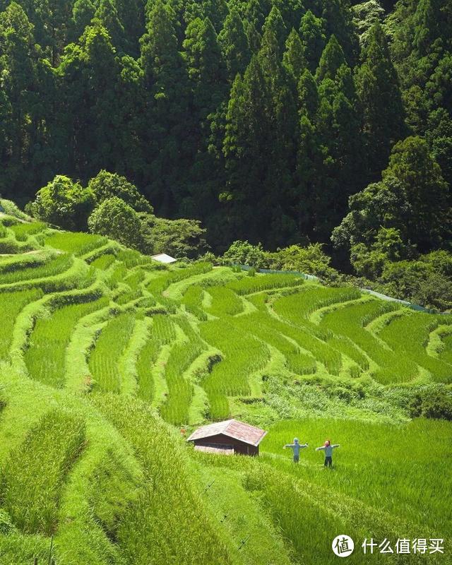 种草 | 机票常年特价的名古屋，附近好玩的地方可多了