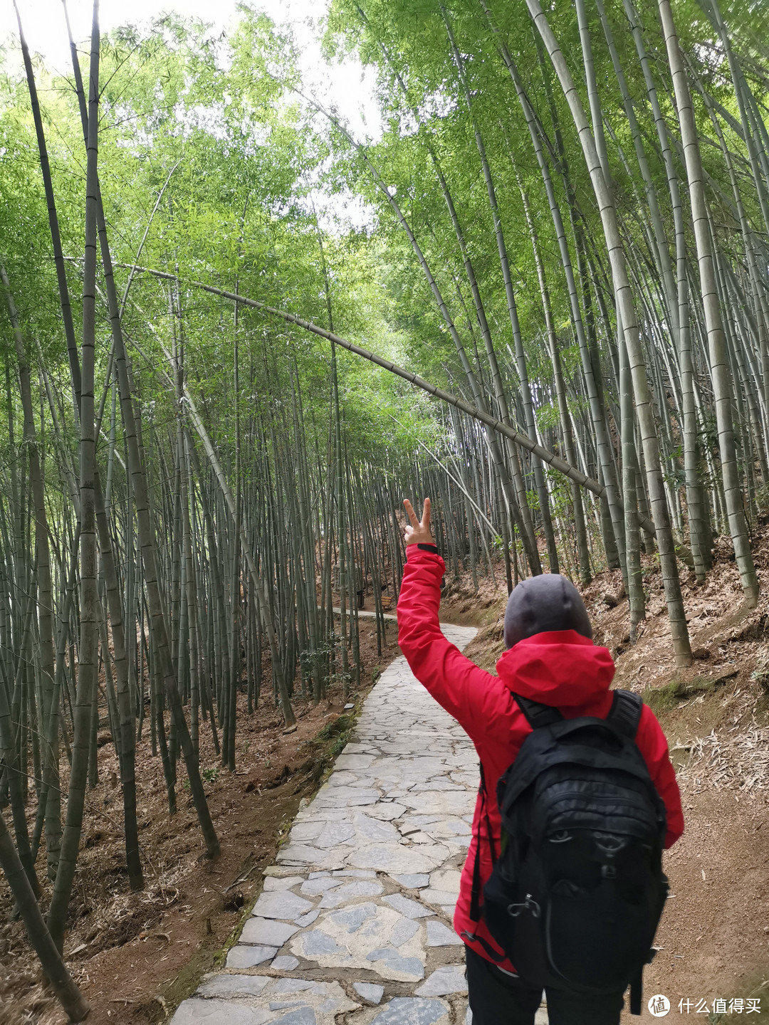 虽然景色没有黄山壮丽，但是胜在平平淡淡，远离喧嚣，想起了张家界的金鞭溪