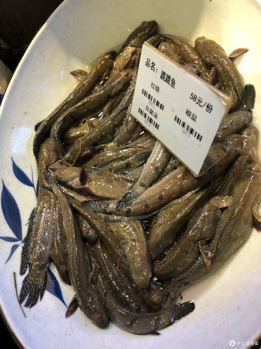 跳跳鱼
