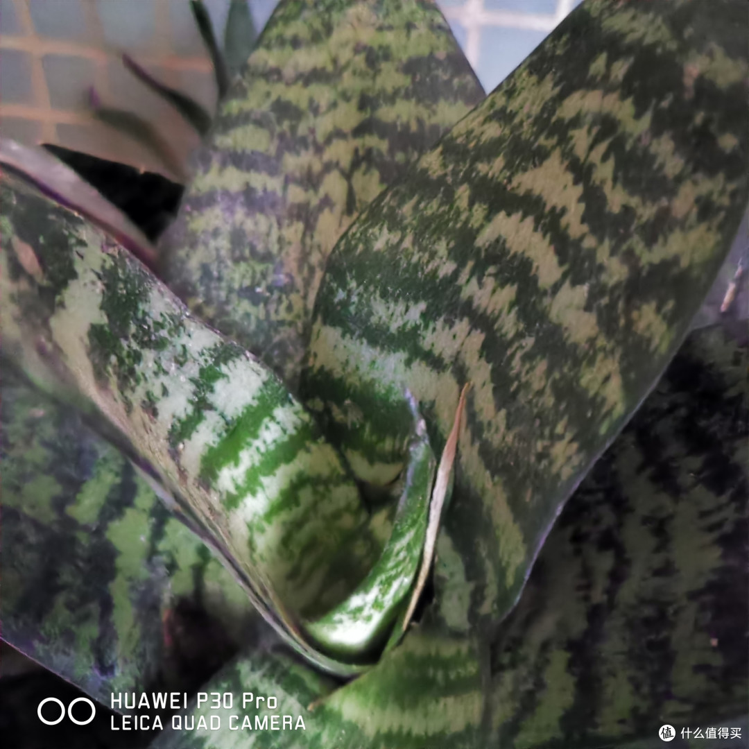 华为P30 Pro拍照上手长体验：2019年拍照机皇现在还值得购买吗？