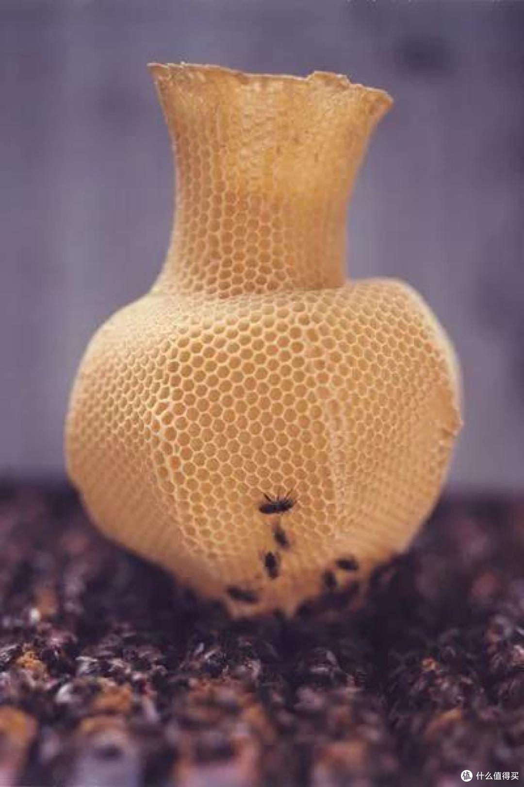 30款环保级家居产品,保护地球也保护自己