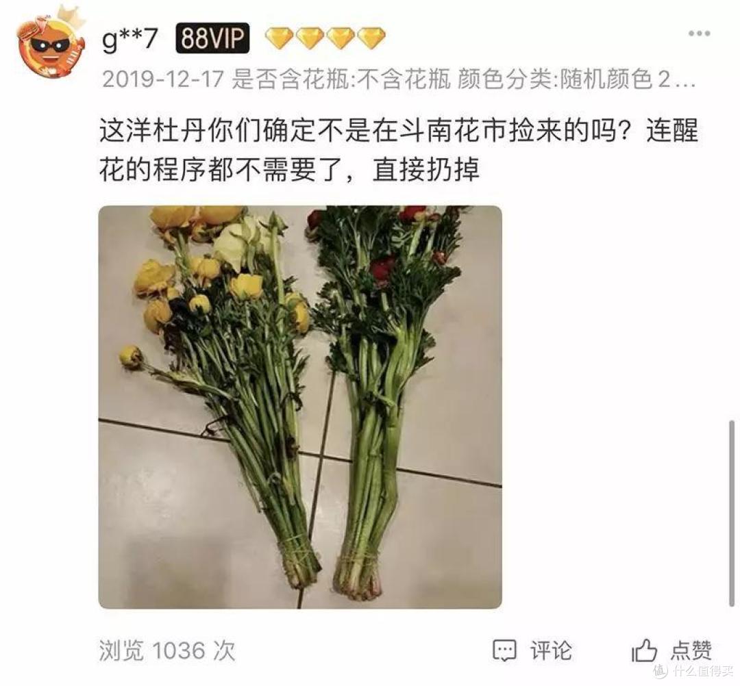 小白买花，省钱不被坑攻略