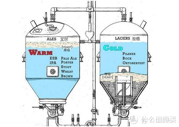 本土精酿品牌的全新力作之拳击猫第一血与搏击者精酿啤酒品鉴报告