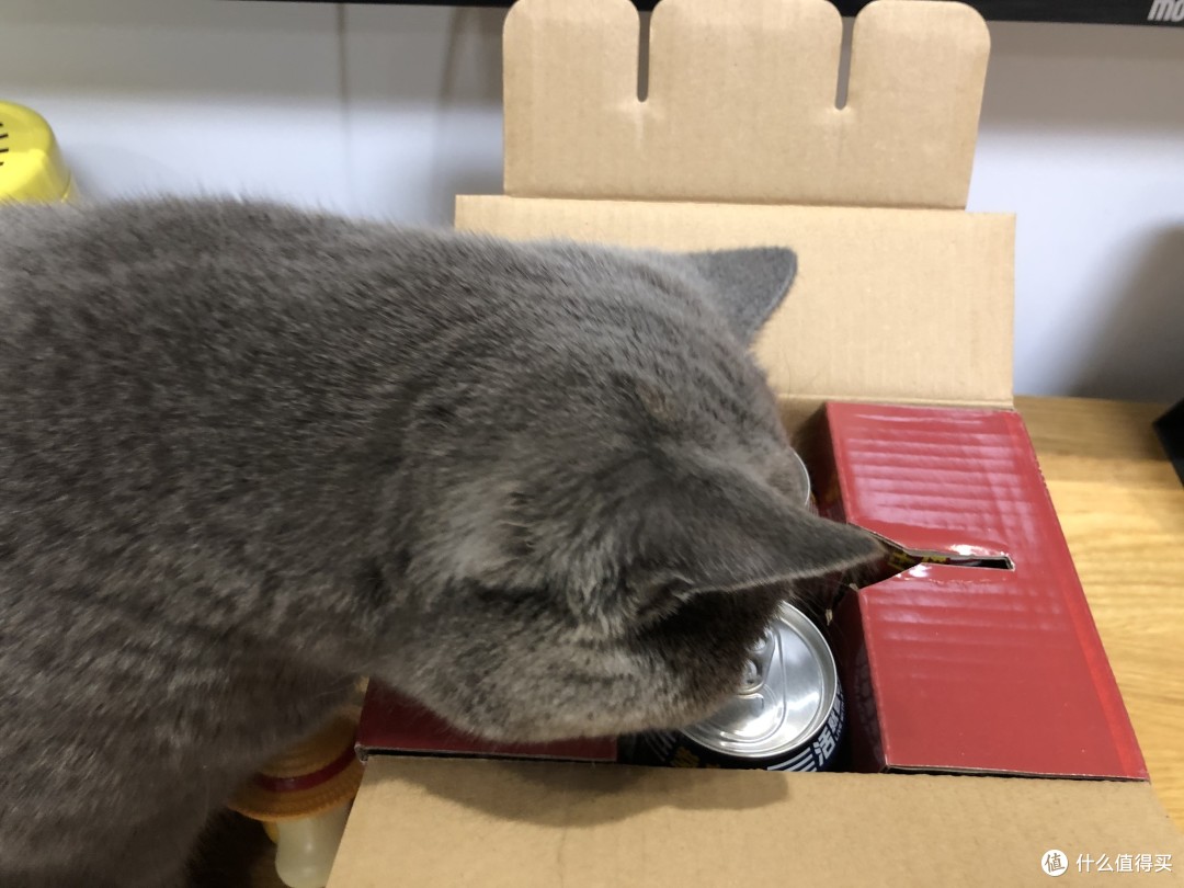 猫咪也爱喝的啤酒你喝过吗boxingcat拳击猫精酿啤酒换新来袭