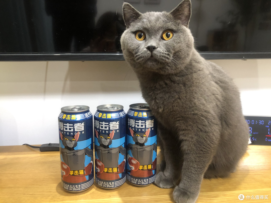 猫咪也爱喝的啤酒你喝过吗?——Boxing Cat 拳击猫精酿啤酒换新来袭!