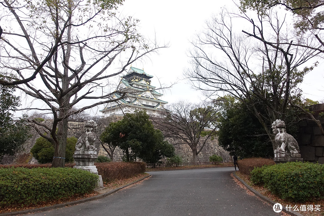 日本春节7天大阪至东京自由行攻略&游记