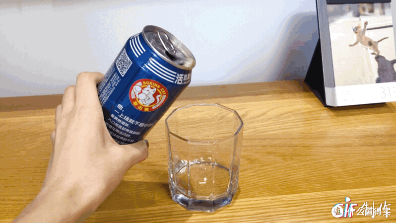 猫咪也爱喝的啤酒你喝过吗?——Boxing Cat 拳击猫精酿啤酒换新来袭!