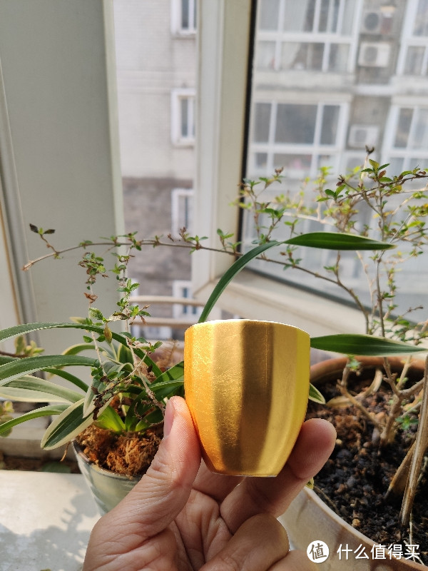 200一个,箔一茶杯不香吗?