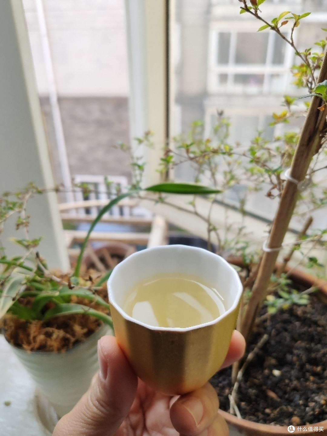 200一个,箔一茶杯不香吗?