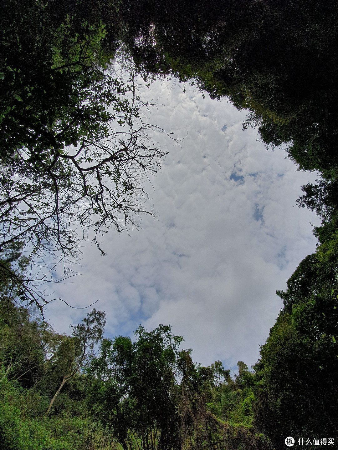 看天空