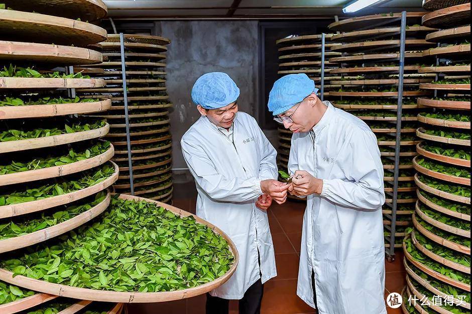 堪称2020年最值得期待茶品牌，小罐茶到底做对了什么？