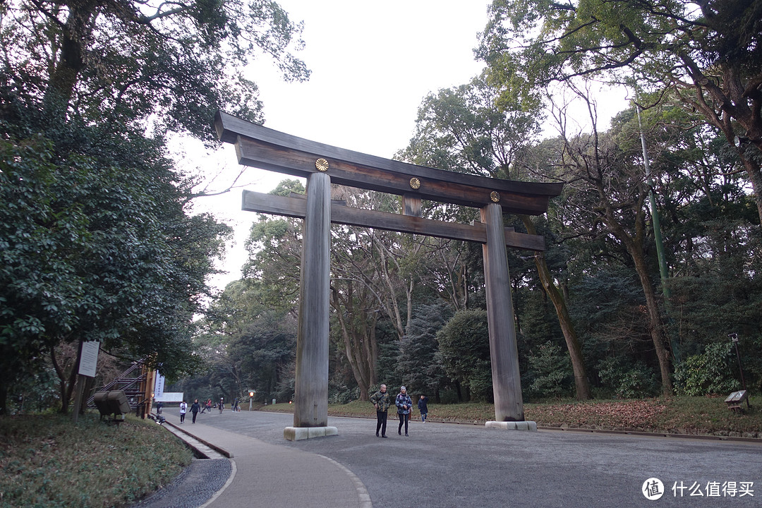 日本春节7天大阪至东京自由行攻略&游记