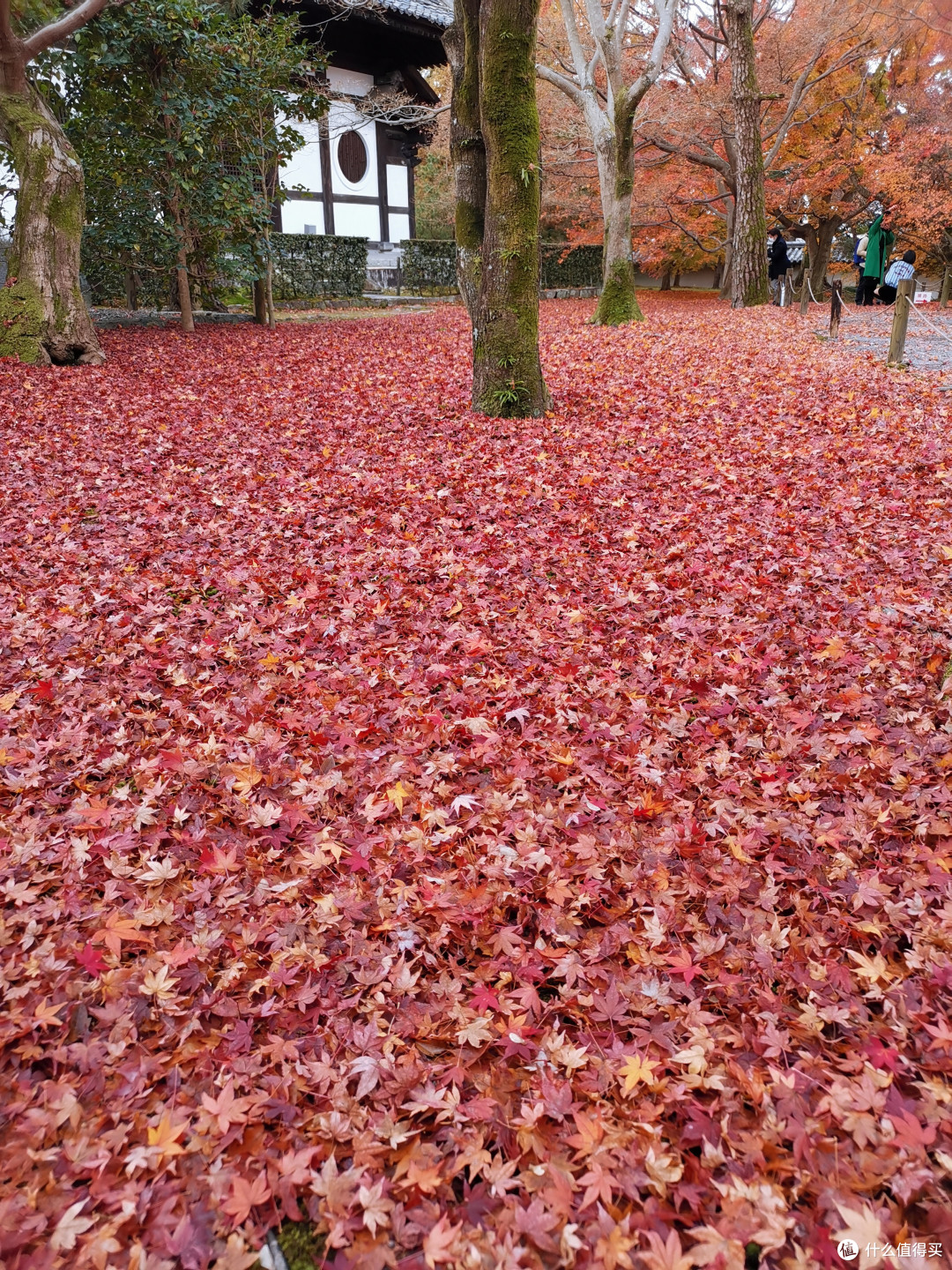 东福寺、伏见稻荷大社、南禅寺、三年坂二年坂、清水寺(多图预警)