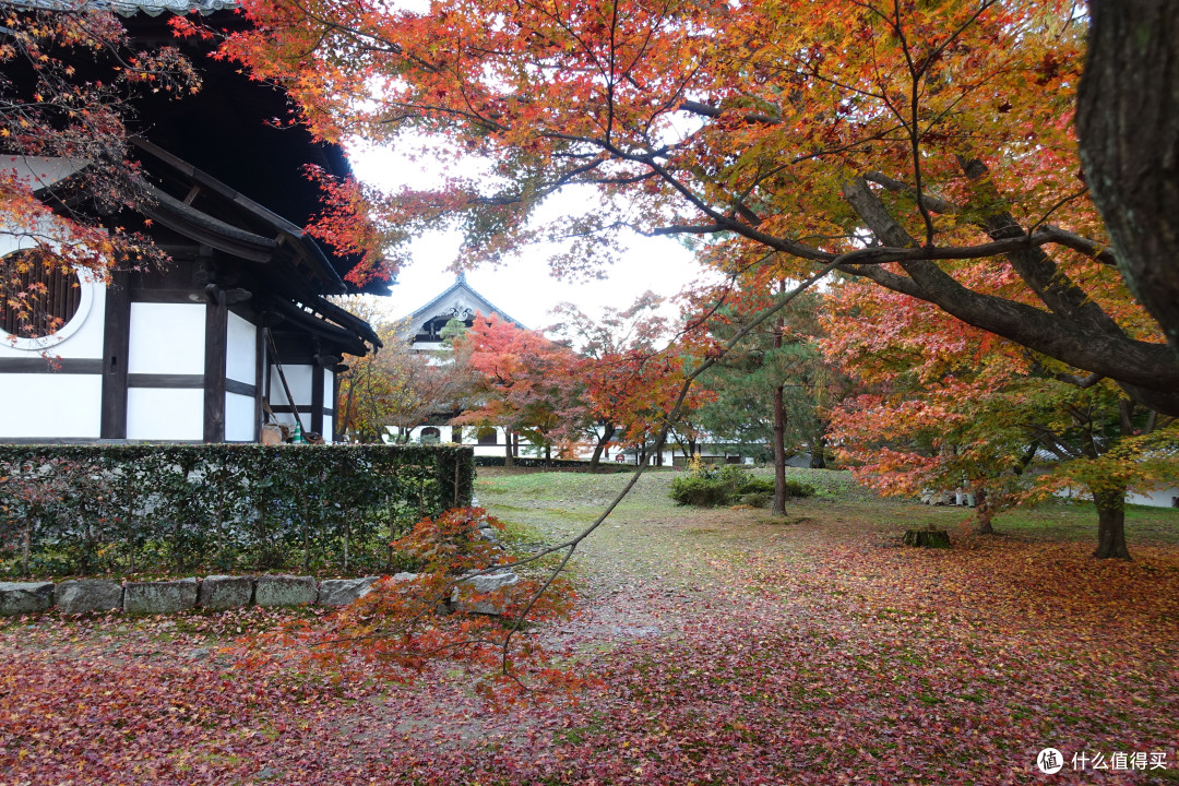 东福寺、伏见稻荷大社、南禅寺、三年坂二年坂、清水寺(多图预警)