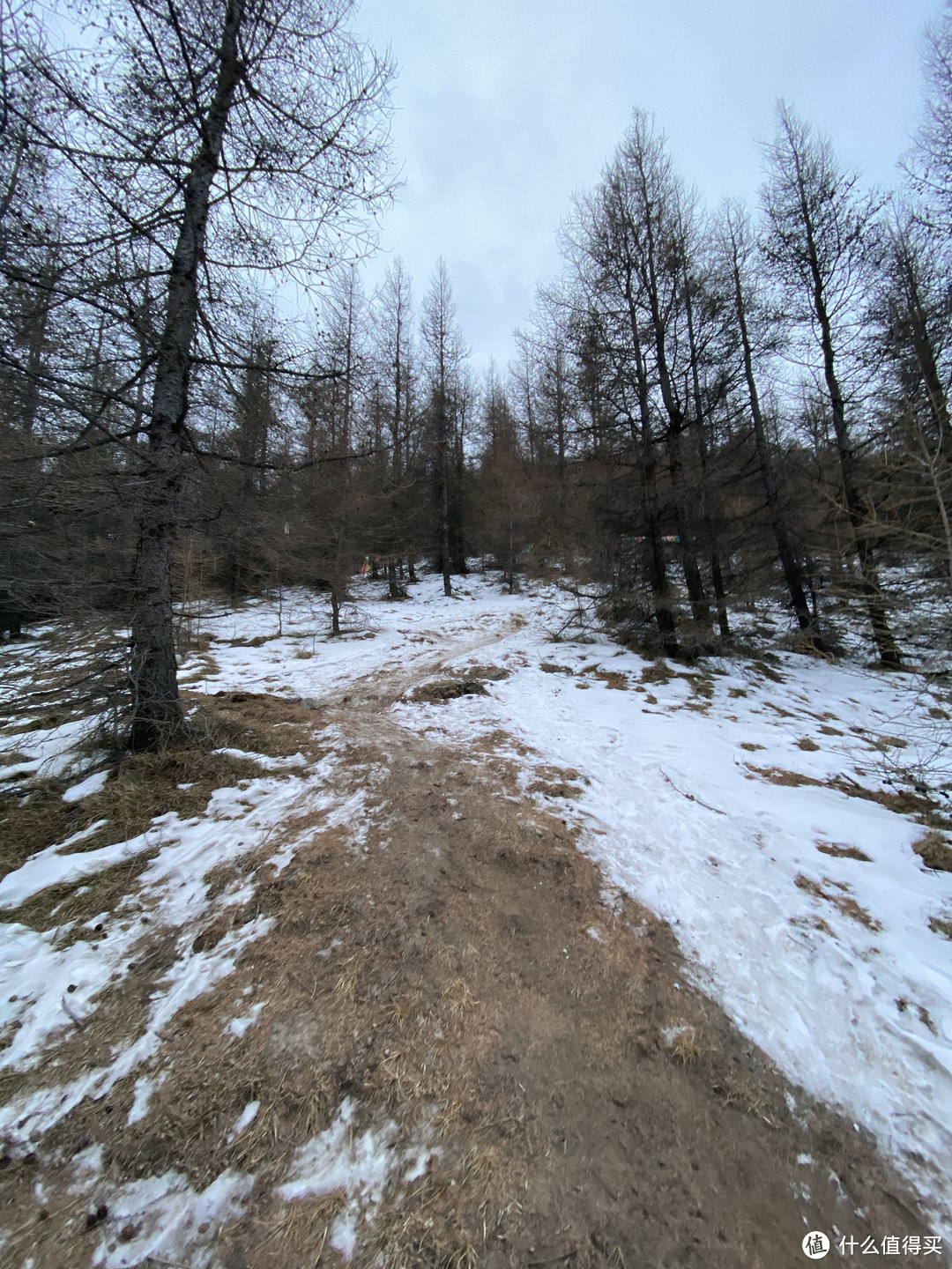 下山一路陡坡