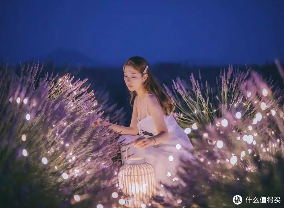 希望,今天的你可以被普罗旺斯治愈