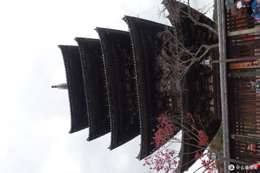 清水寺附近一个也挺有特色的寺,造型有点像
