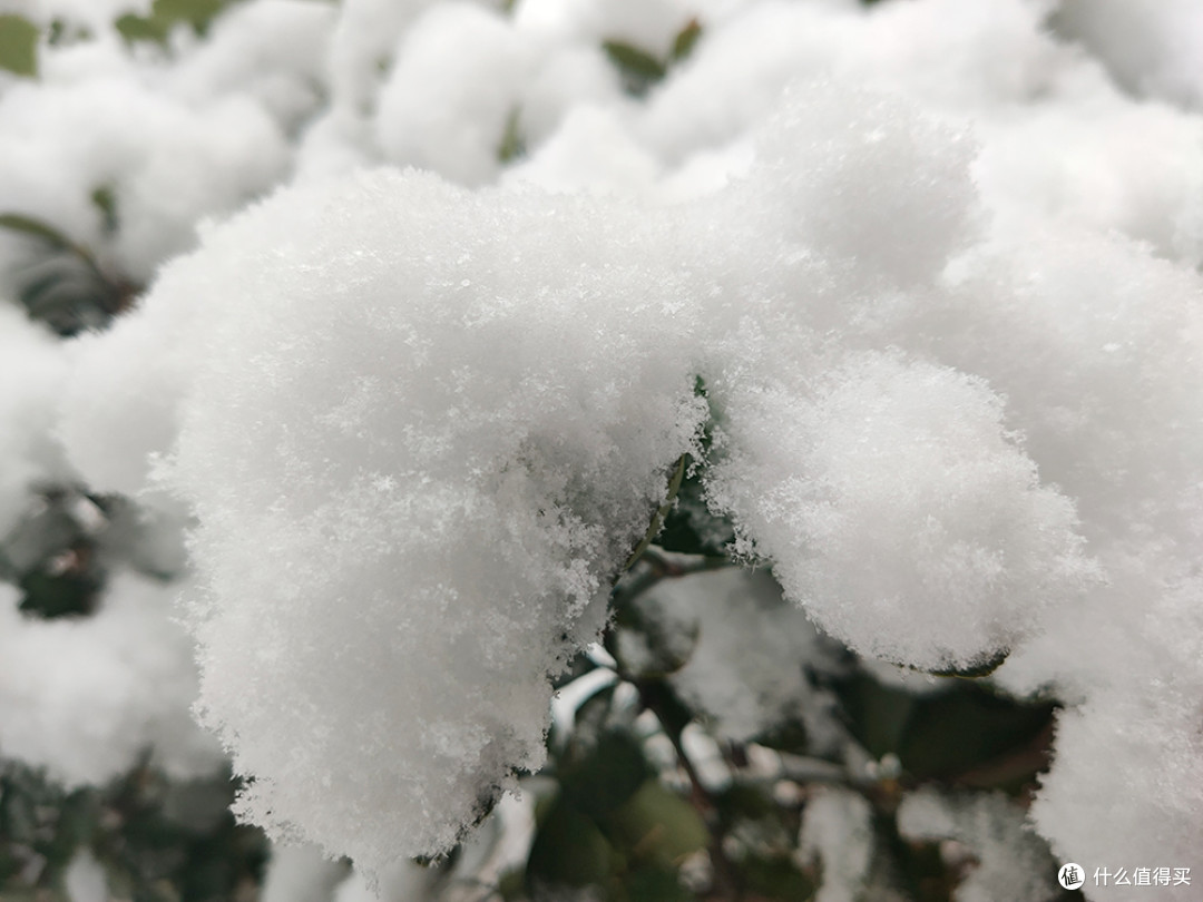 北京的雪天，让世界变化了模样