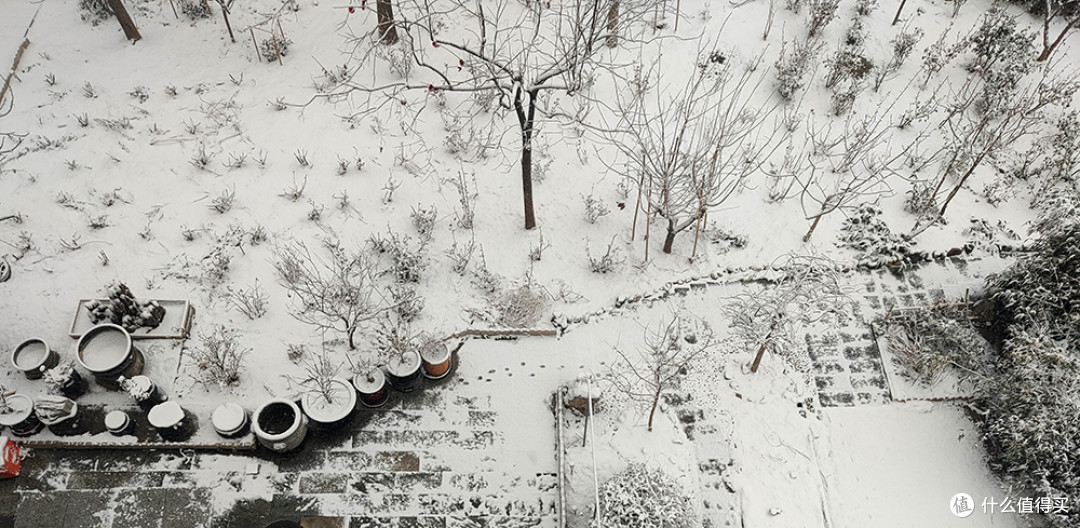北京的雪天，让世界变化了模样