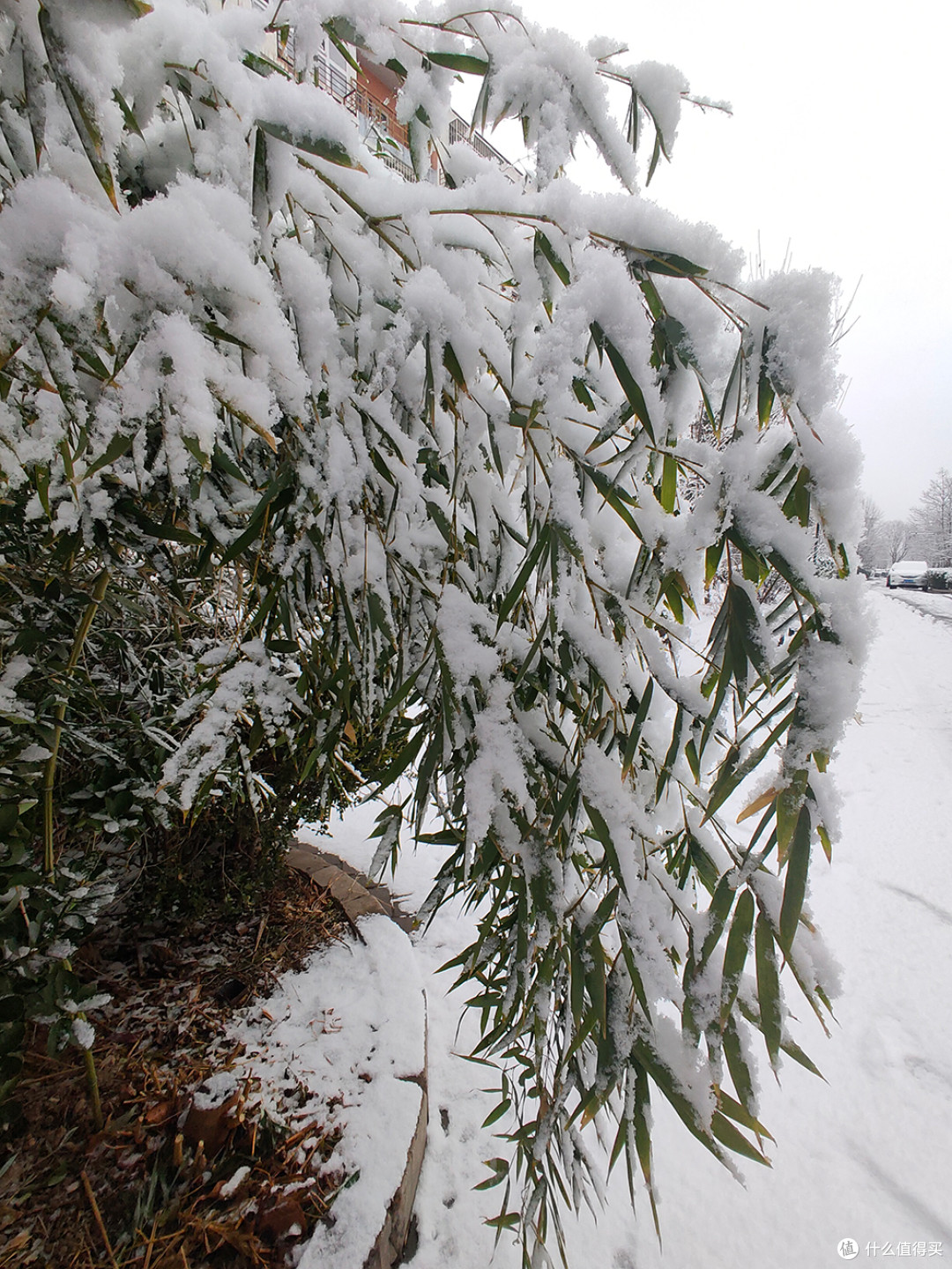北京的雪天，让世界变化了模样
