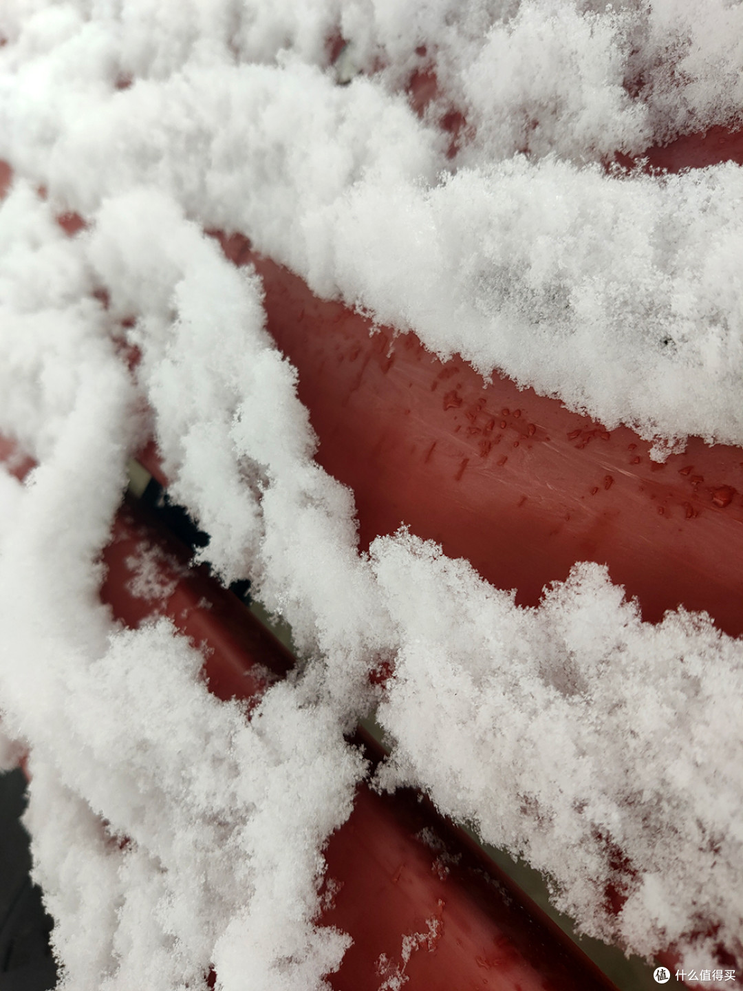 北京的雪天，让世界变化了模样
