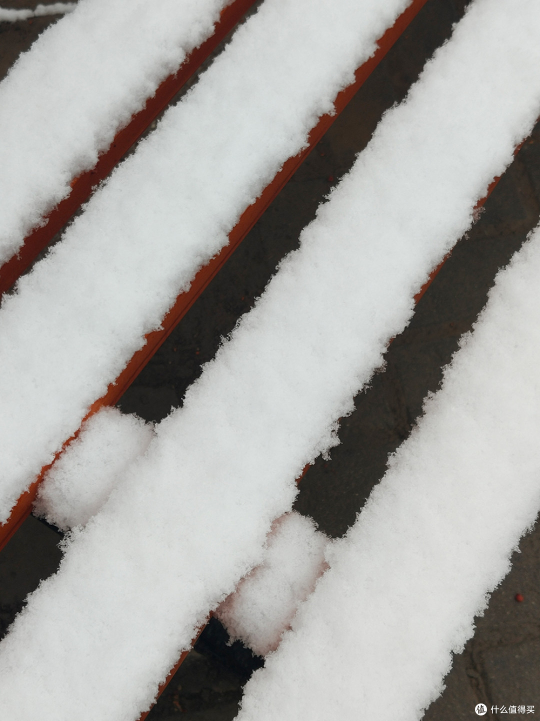 北京的雪天，让世界变化了模样