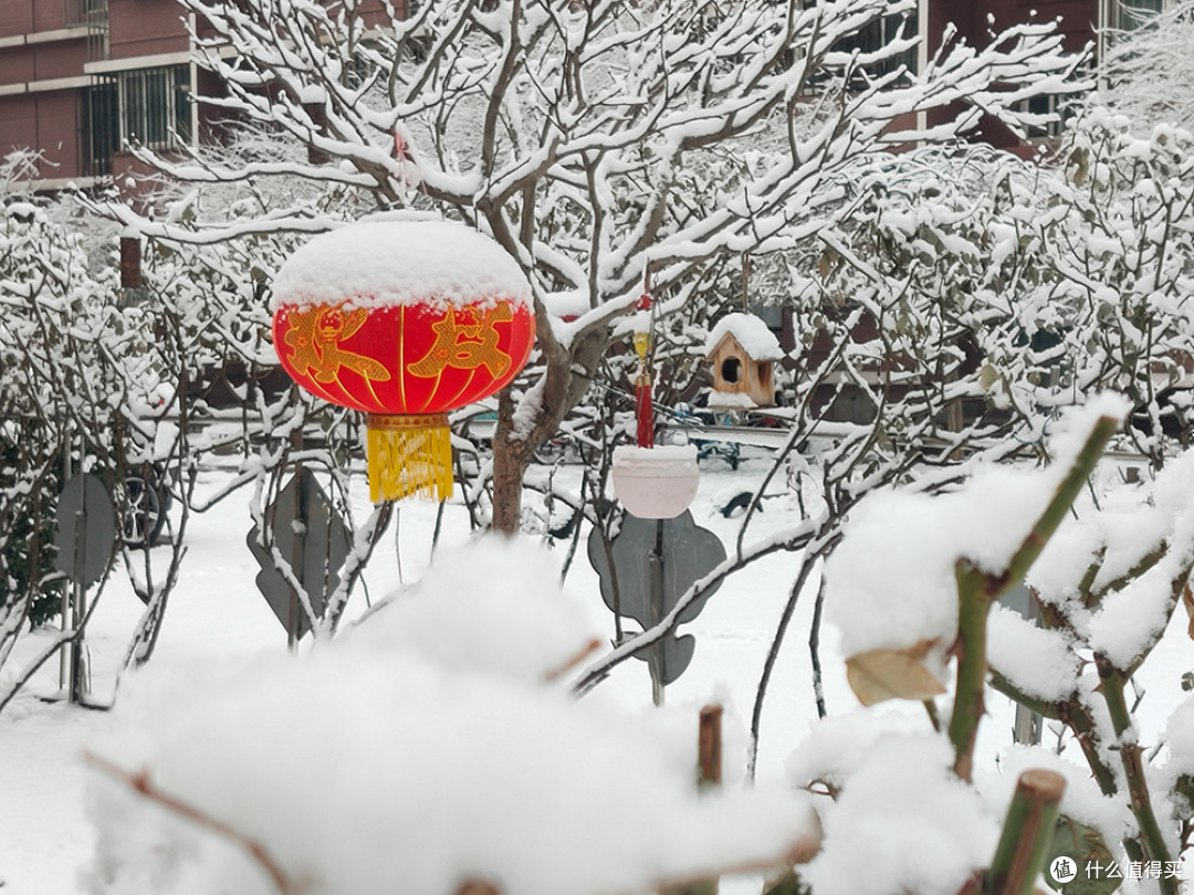 北京的雪天，让世界变化了模样