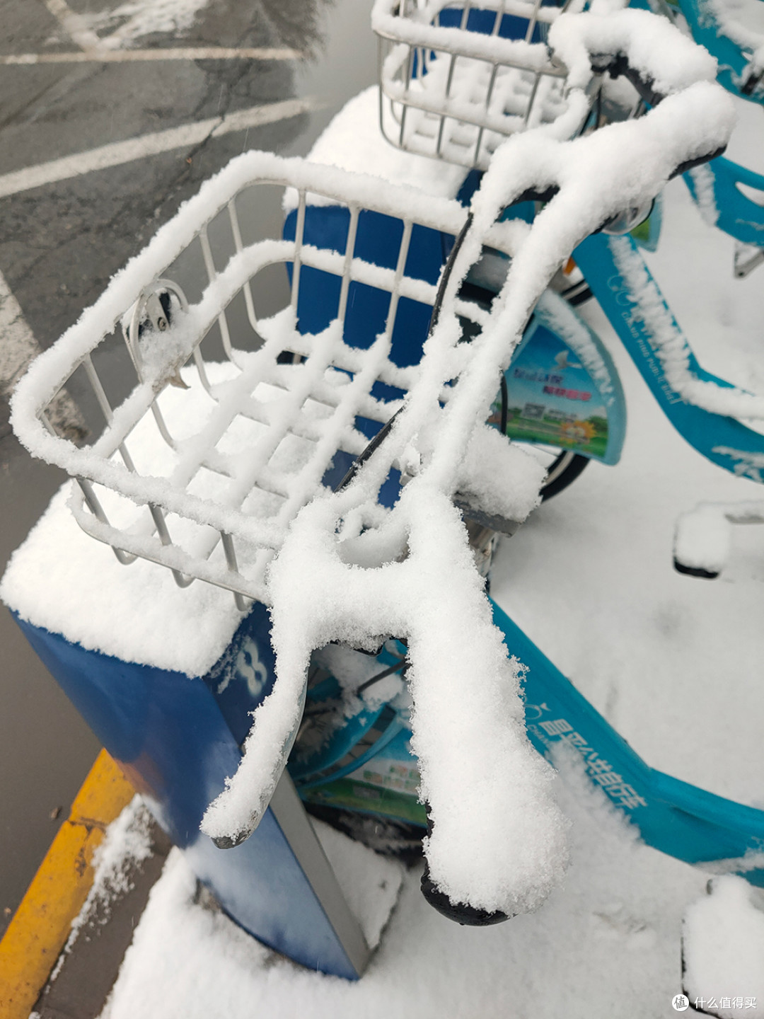 北京的雪天，让世界变化了模样