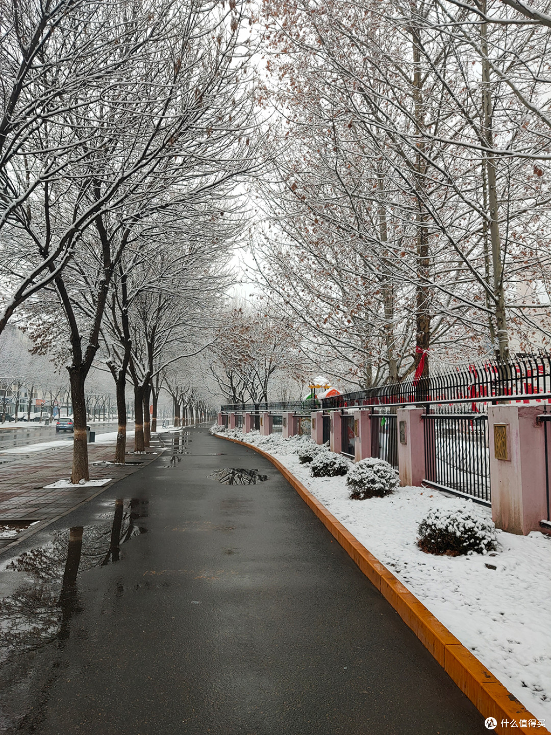 北京的雪天，让世界变化了模样