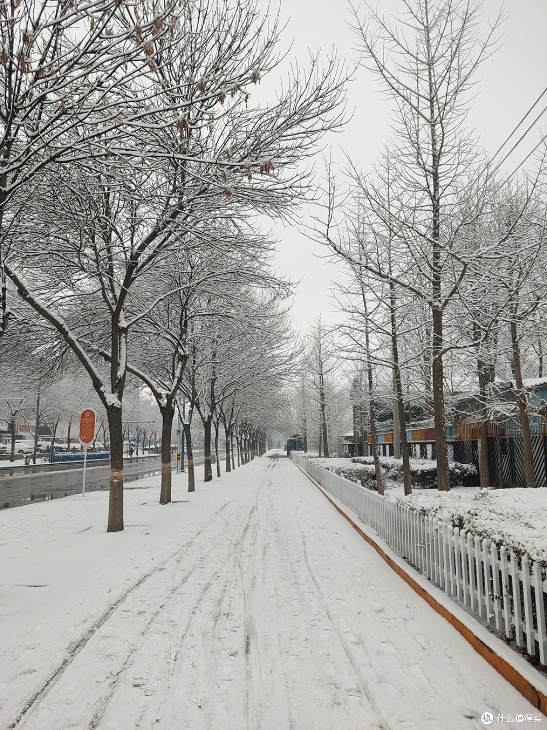 北京的雪天，让世界变化了模样